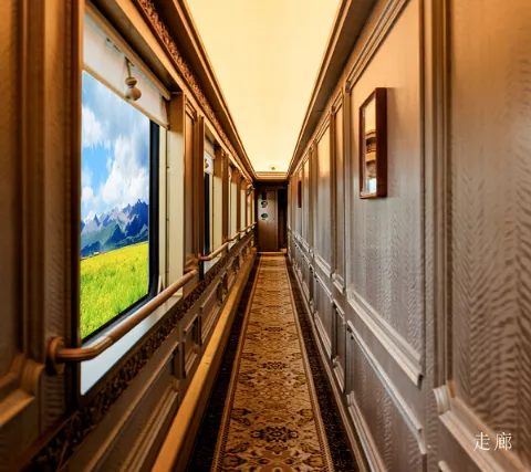 Dream International Train