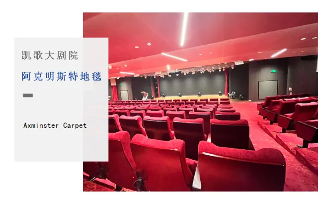 Cruise Ship Carpet Project Of Century Triumph